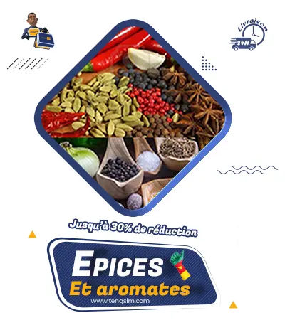 epices-et-aromates-ou-aromes-en-vente-en-ligne-au-Cameroun-sur-TENGSIM